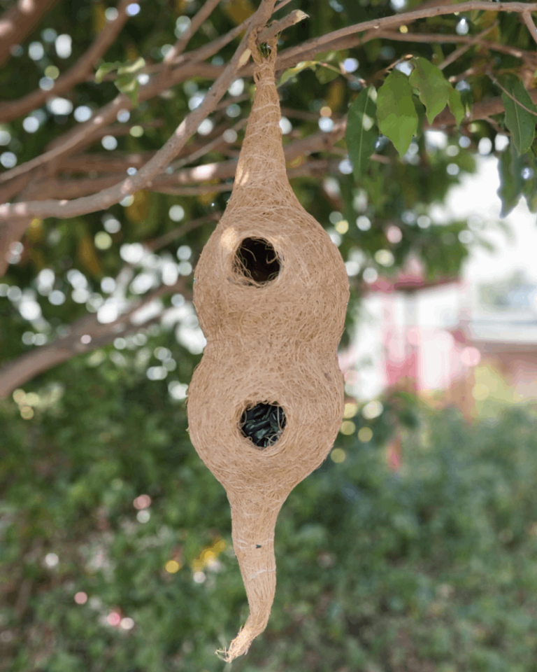 Sustainable Outdoor Birdhouses For Exotic Birds photo