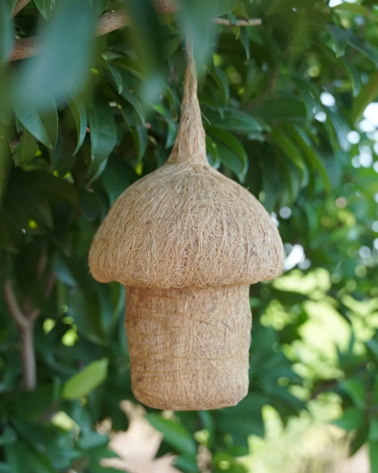 Eco-Friendly Birdhouses and Feeders | BirdsHomes