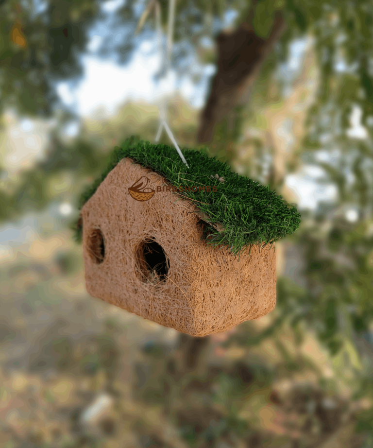 Eco-Friendly Coconut Coir Birdhouses | BirdsHomes India