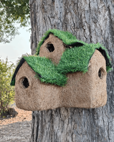 Eco-Friendly Coconut Coir Birdhouses | BirdsHomes India